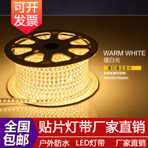 LED light with neon strip living room ceiling decoration colorful discoloration patch super bright line light 220v