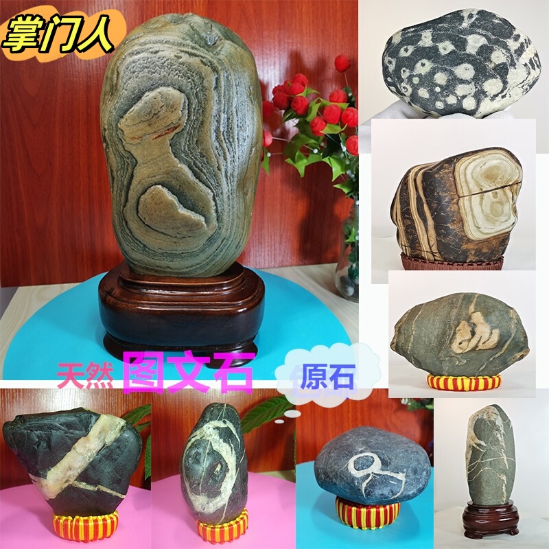 Natural Water-Absorbing Stone, Ornamental Stone, Natural Water Plant Pattern, Aquarium Pebbles, Genuine Product, Special Price, Exclusive Sale