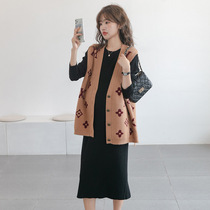 Pregnant womens knitted vest spring and autumn 2021 autumn Net Red fashion high-end cardigan loose tide mother long coat