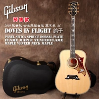 Gibson Doves in Flight Poyeon 2019 Limited Full Single Ballad Guitar зарегистрирована