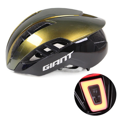 New Giant Mountain Bike Road Bike Cycling Helmet, One-Piece Molded, Aerodynamic, Universal