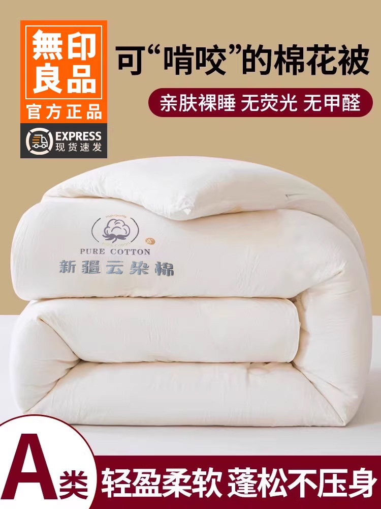Muji Xinjiang Cotton Quilt Core Autumn and Winter Quilt Thickened Warm All-Cotton Pure Cotton Student Dormitory Spring and Autumn Quilt