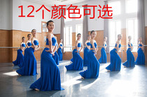 Yikao Dai ethnic dance dress female peacock dance for children practice dress elastic body dance dress rehearsal work dress
