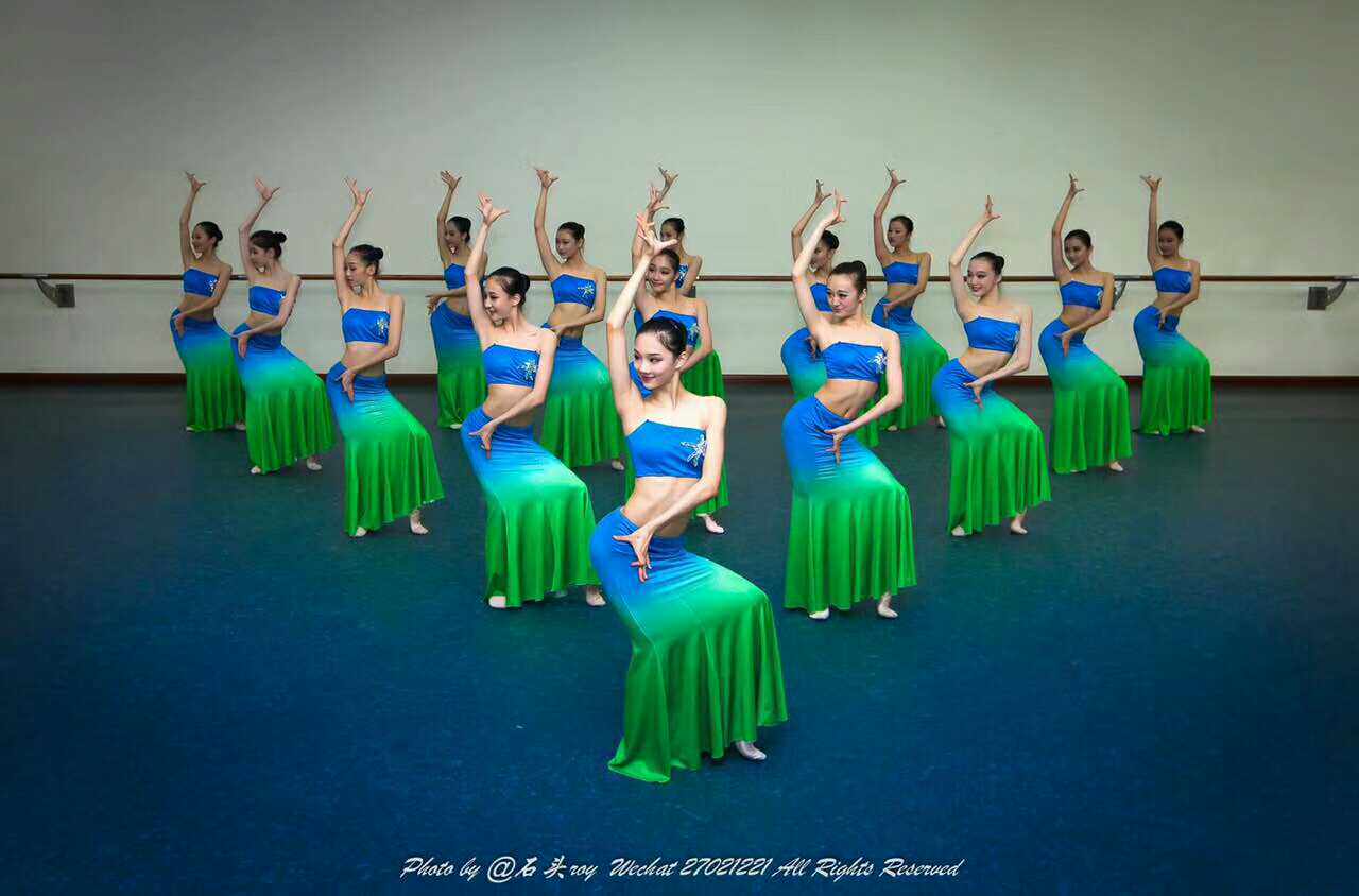 Dai Dai Dance Costume for Adult Peacock Dance Costume National Dance Dress Fish Tail Dress Practice Dress
