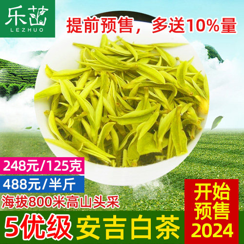 2024 new tea pre-sale 800 meters high mountain - Kaiyuan first pick 5 excellent - Anji white tea Mingqian special grade rare and authentic