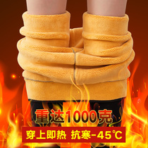 Northeast Special Thick Cotton Pants Woman Thickened with underpants to wear the autumn and winter ultra-thick integrated high waist to keep warm and big