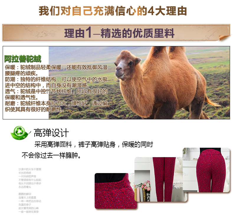 Pantalon collant personne âgée - Ref 751619 Image 34