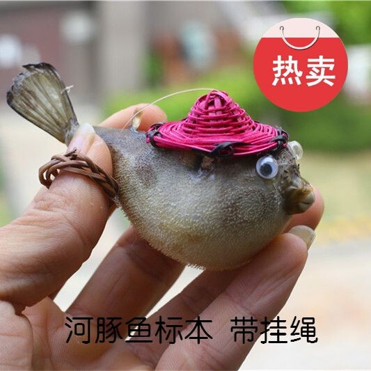 Hot-Selling Pufferfish, Blowfish, and Porpoise Specimens for Decoration with Bamboo Hats, Marine Life Fish Skin Car Pendants, Gifts