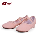 赛纱真皮芭蕾舞鞋带跟教师鞋软底帆布女舞鞋中跟民族舞鞋女练功鞋