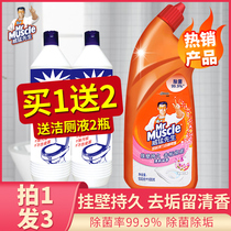 Mr. Wiferys Toilet Cleaning Agent Net Liquid Home Toilet Toilet Toilet Clean Deodorizer Deodors to Smell Bad