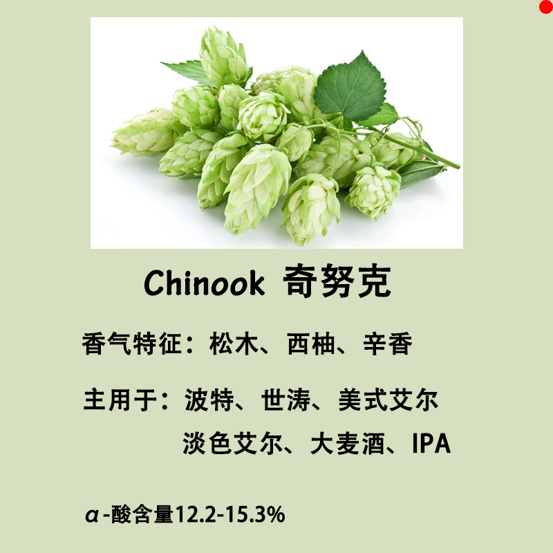 Chinook Chinook hops Porter Stout Ayer barley wine self-brewed home-brewed beer accessories 50g