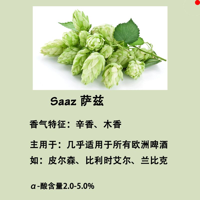 Saaz Czech Saaz hop granules Pearson Ayr 50g self-brewing tool raw material Hops