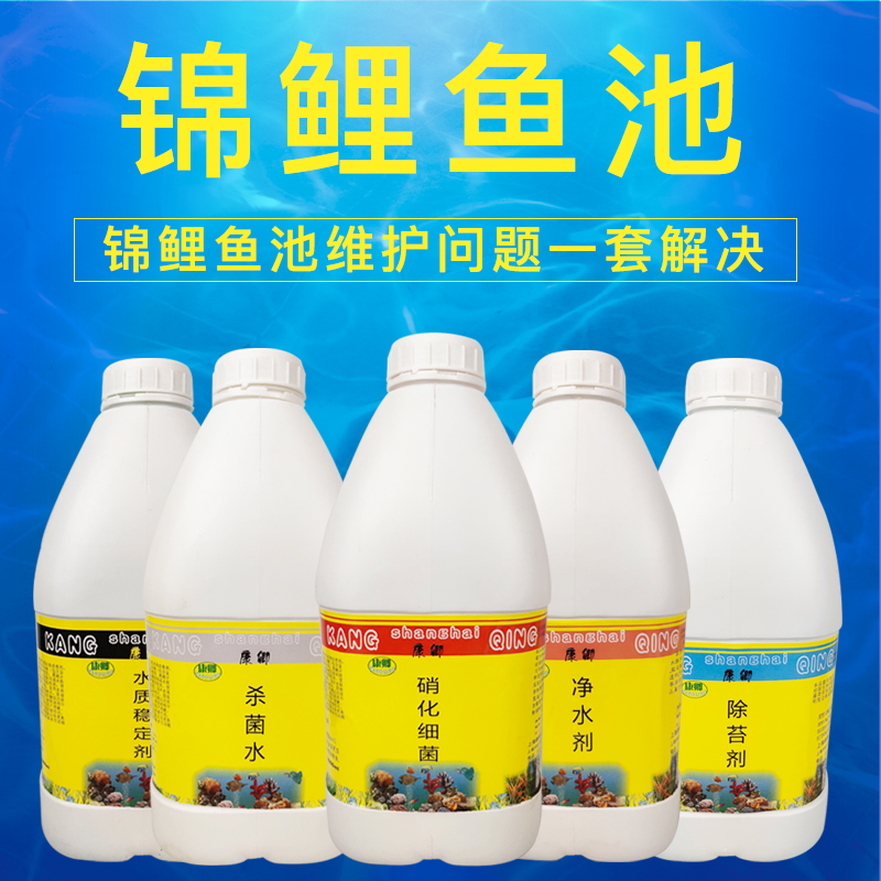 Fish tank fish pond nitrobacteria net aqua water quality stabilizer ornamental fish water quality Improved nitrobacteria bacterial fish tank used fish