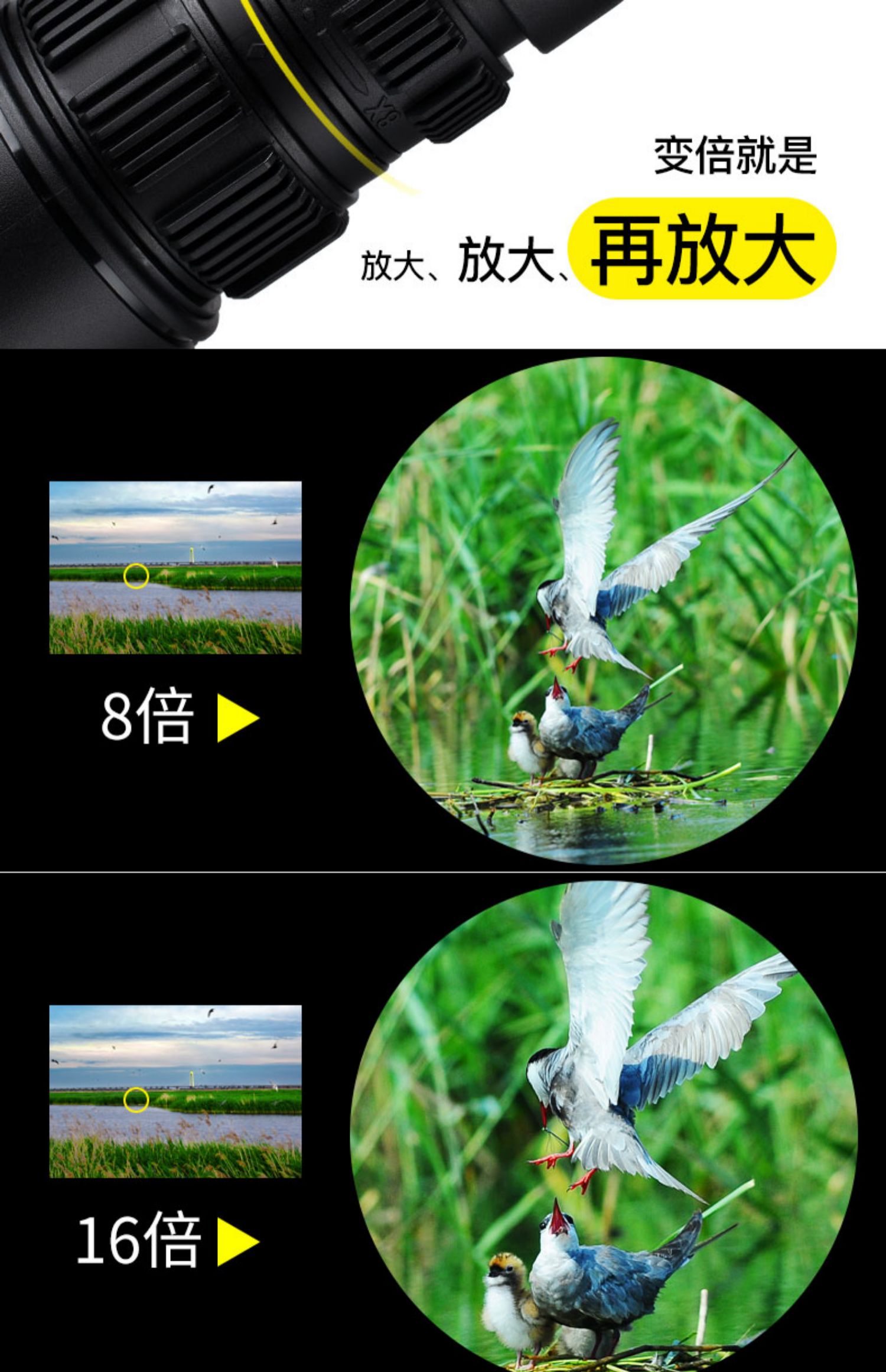 8-24X42 zoom zoom một mắt độ phân giải cao độ phân giải cao và gần máy ảnh điện thoại di động chuyên nghiệp nhỏ gọn - Kính viễn vọng / Kính / Kính ngoài trời cấu tạo kính thiên văn