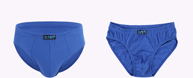 Bốn mảnh tam giác nam đồ lót eo giữa cotton trẻ trung cotton cotton lỏng chất béo quần short eo thấp quan sip nam