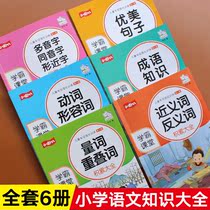 Primary school Chinese word accumulation quantitative words overlapping words synonyms antonyms beautiful sentences special training