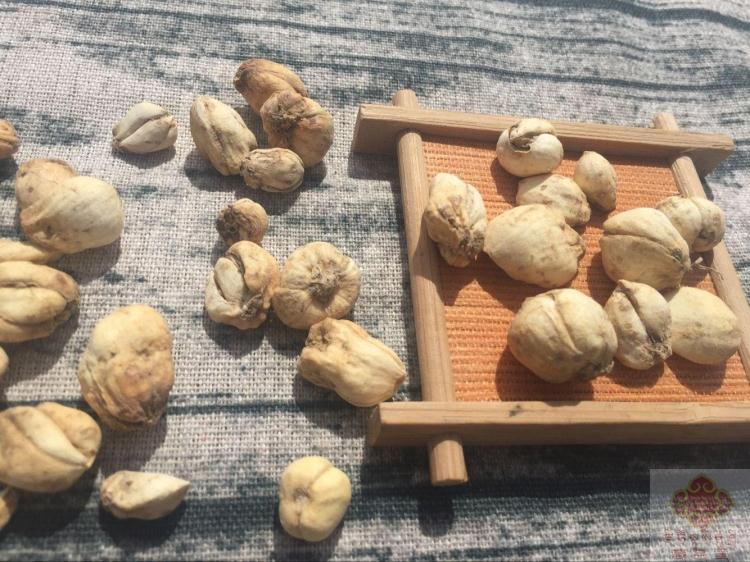 Tibet's special produce Good goods Tibetan Sichuan fritillaries yield less Sichuan fritillaries Fritillary Garlic Fritillary Tips Bay This Year New Goods Mountain Stock Natural Airing