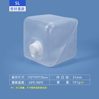 5L Scrub+герметизация