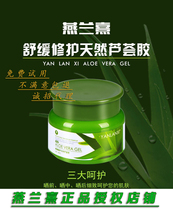 Yan Lanxi Aloe Vera Gel Hydrating Moisturizing Repairing and Desalinating Pockmarks Yan Lanxi Aloe Vera Gel