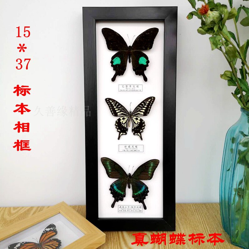 Hot-Selling New Product Real Butterfly Specimen Photo Frame Handmade Crafts Home Decoration Photo Wall Children's Experimental Gift