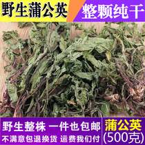 Dandelion tea Natural wild Pu Gong Yinggen tea Premium Dandelion dried Changbaishan Tong Ren Tang quality 500g