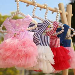 Cat Clothes Spring and Summer New arrival Dog Cat Ornaments Pet Stripes Sling Mesh Dress Dress Small and Medium Dog