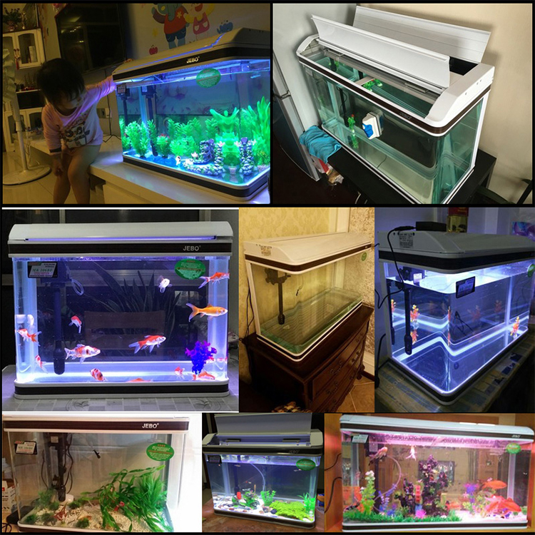 Living Room Large Aquarium Free Aquarium Hd Glass Set With The