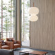 Restaurant lamp simple modern clothing store B&B art lamp gourd round double-headed glass ball bedroom bedside chandelier
