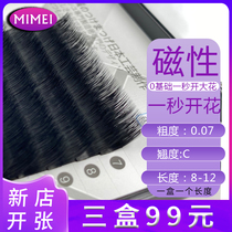 Beauty Mascara Second Mountain Tea Flowering Eyelash Grafting Single Root Planting Fake Eyelash Water Mink Grafting Eyelash New