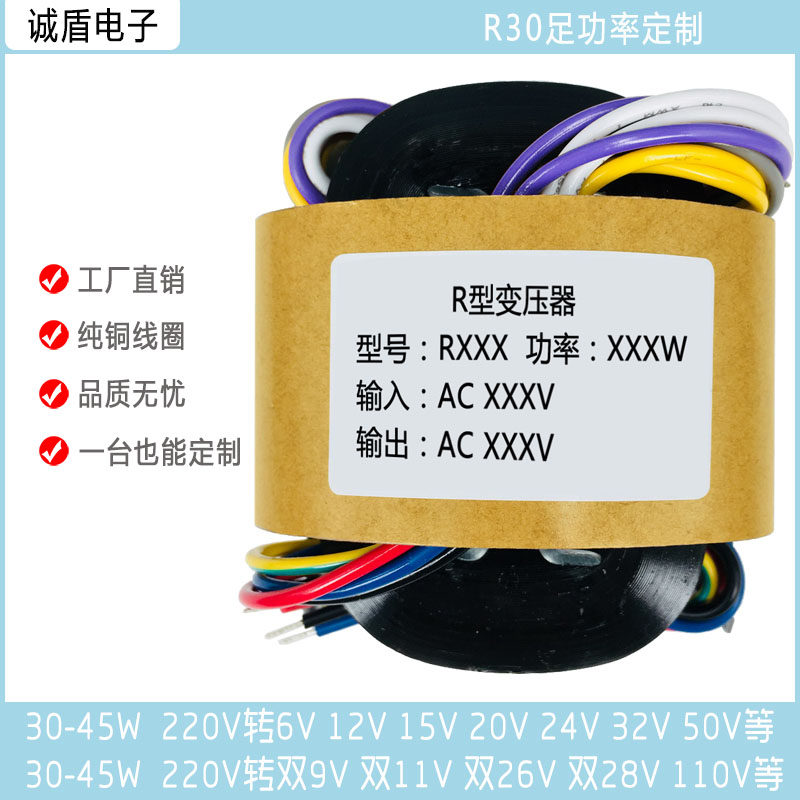 Customized R30VA type DAC pre-decoder special power supply cattle 30-45W medical equipment electronic scale transformer