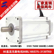 High voltage high power brushless DC motor 80BL130S75 3000 to 750W brushless motor era super group