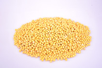 Soybean Milk Soybean Soybeans 250 grams Farmhouse Soybeans Yimeng Mountain Soybeans Five Cereals