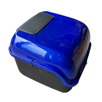 Flash Blue