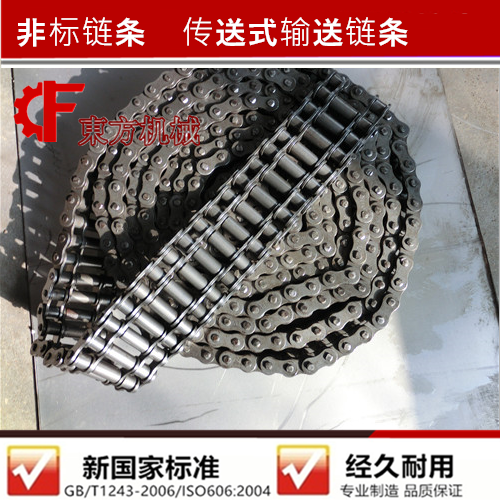 5-point double-row chain inner section lengthened pitch 15 875mm transmission conveyor chain non-standard customized