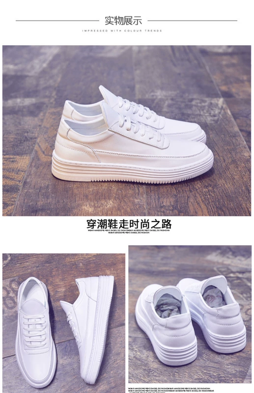 Giày nam mùa hè thoáng khí Giày trắng nam phiên bản Hàn Quốc xu hướng tăng giày trắng hoang dã giúp giày trắng giản dị - Giày thấp
