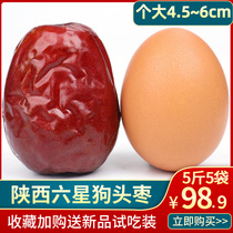 Dog head jujube in northern Shaanxi Yan 'an Qingjian Shaanxi specialty special six-star jujube snacks Xi 'an whole box 5kg 5 bags gift