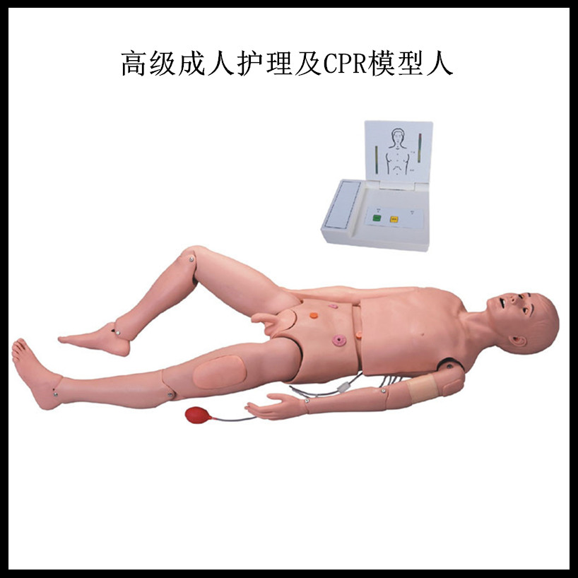 高级成人护理及CPR模型人 鼻饲导管胃训练模型心肺复苏急救术假人