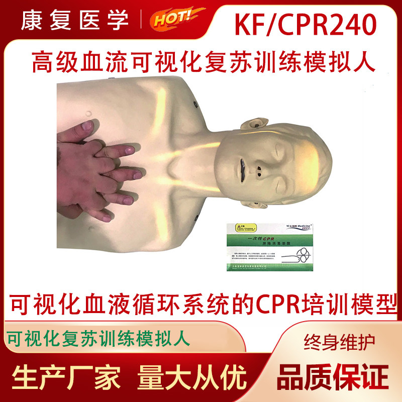 高级血流可视化复苏训练模拟人 可视化血液循环CPR培训模型