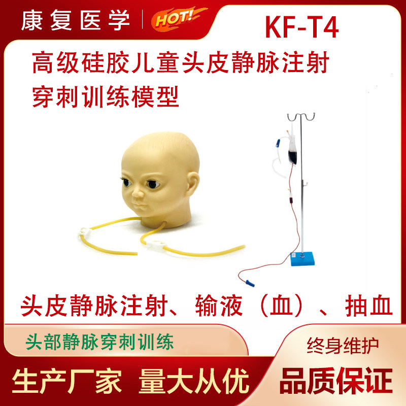 高级硅胶儿童头皮静脉注射穿刺训练模型 T4静脉注射训练模型