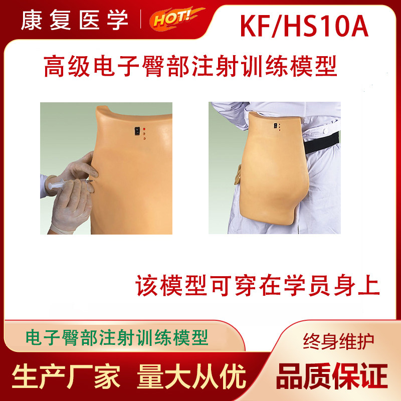 高级电子臀部注射训练模型模拟成人臀部结构电子臀部注射模型