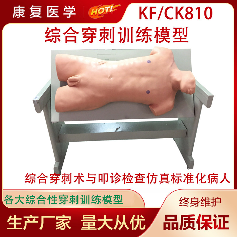 综合穿刺训练模型综合穿刺术与叩诊检查仿真标准化病人 CK810模型