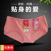 Bốn túi đồ lót nữ Caiti cotton đích thực gợi cảm eo thấp quần boxer dễ thương màu rắn 5065