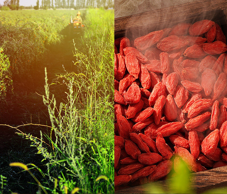 Взрывной сингл can_05.jpg