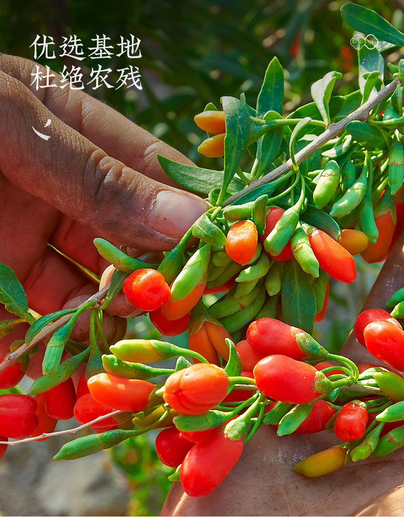 Взрывная сингл can_06.jpg