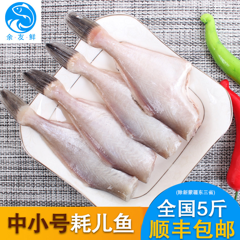 整箱耗儿鱼马面鱼扒皮鱼中号板冻50/100剥皮鱼：火锅烧烤必备，美味升级新体验！🔥🍲🍢-巴沙鱼-淘宝百科网