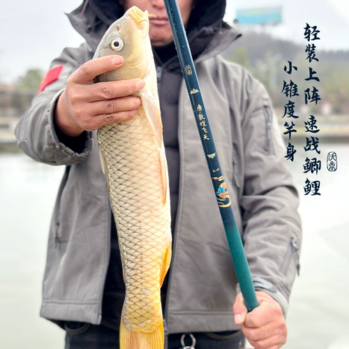 沃鼎 [王朝系列唐鱼竿手竿超轻超硬轻量综合竿台钓竿野钓鲤鱼鲫鱼竿]