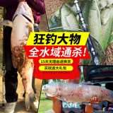 沃鼎 Боже, бог рыбацкая рука, ручная хэдопод, Япония импортированная углерод 28 Ультра -световая супер жесткая платформа.