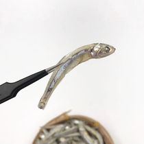 Wild clove fish dried goods No salt light dried petrel fish dried small whitebait Sea nymph fish Raozi fish dried small fish 250g