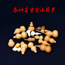 Natural grass gold gourd Mini small hand twist without faucet Tianjin mouth Wen play hand string a picture