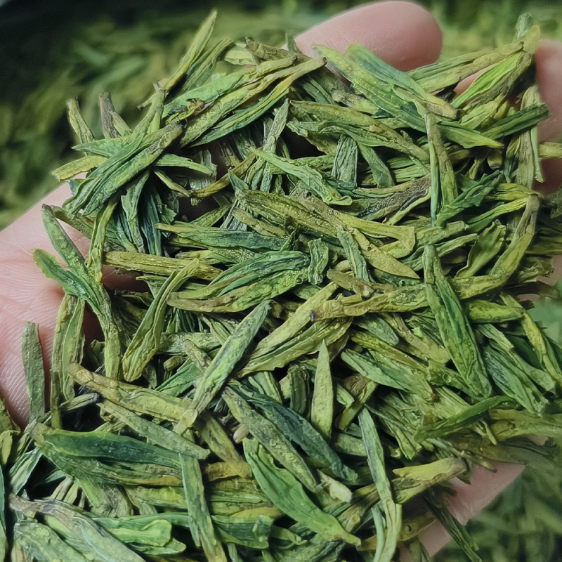 2026 Longnan Longjing Biqu Mingqian No. 43 Longjing Single Bud Single Leaf New Green Tea, Biqu High Mountain Origin